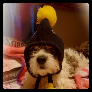 Meet your Posher, Brookie